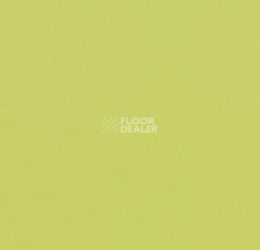 Линолеум Forbo Furniture Linoleum 4182 spring green фото 1 | FLOORDEALER